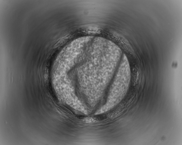 X0000098180704200805151141