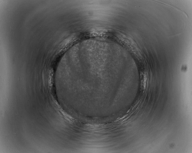 X0000098180712200805151140