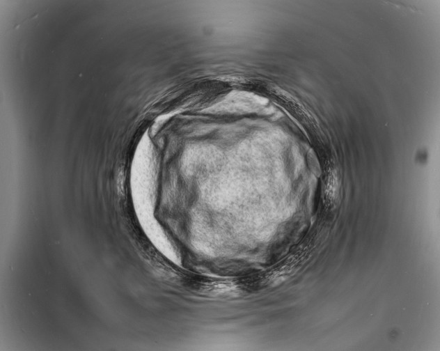 X0000098180715200805151140