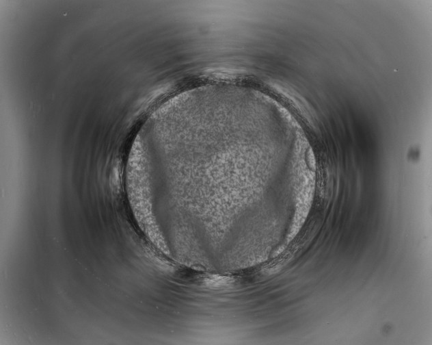 X0000098180718200805151140