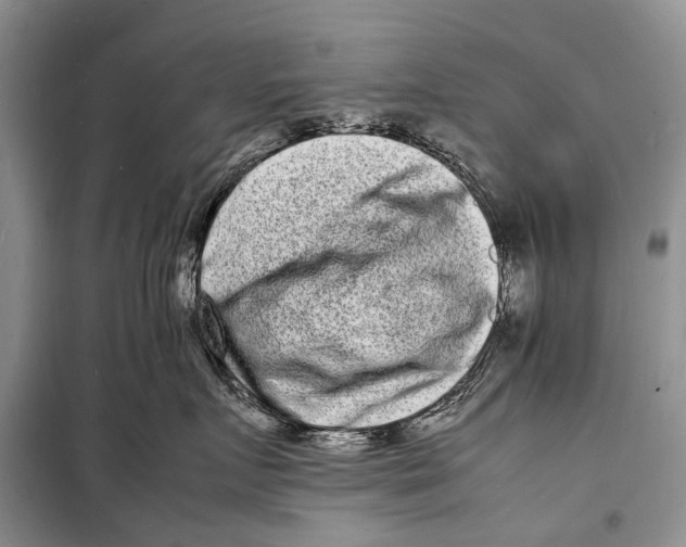 X0000098180719200805151140