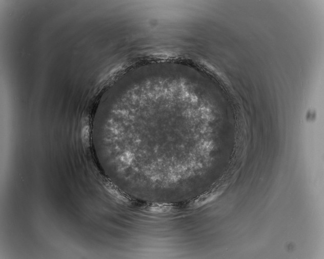 X0000098180720200805151140