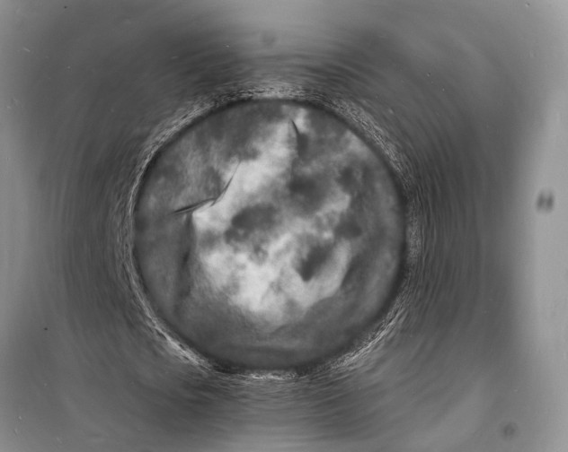 X0000098180721200805151139