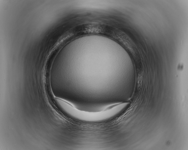 X0000098180722200805151139