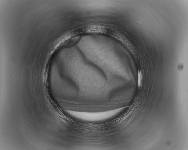 X0000098180723200805151139