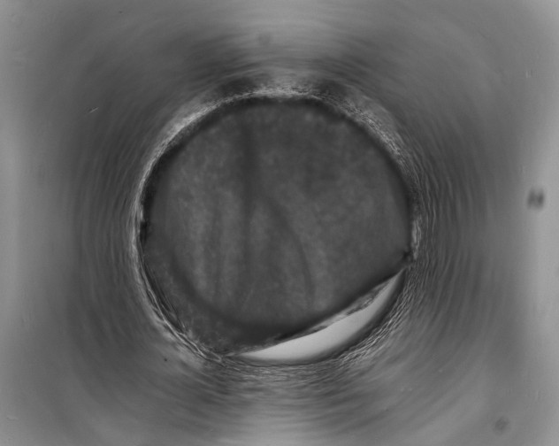 X0000098180724200805151140