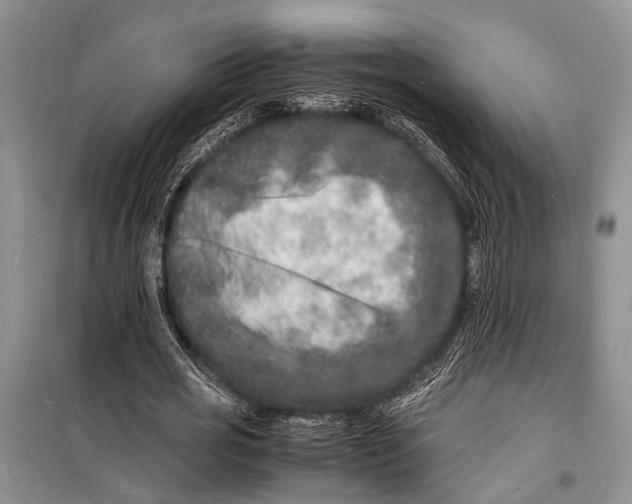 X0000098180725200805151140