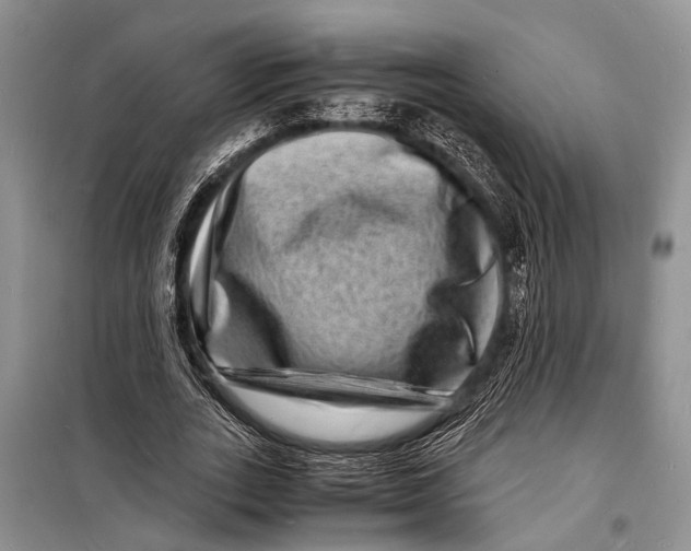 X0000098180727200805151140