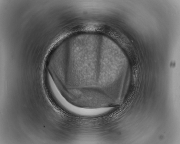 X0000098180728200805151140