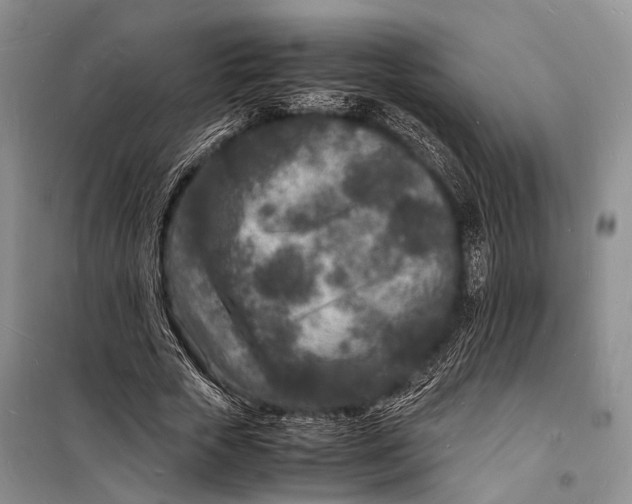 X0000098180729200805151140