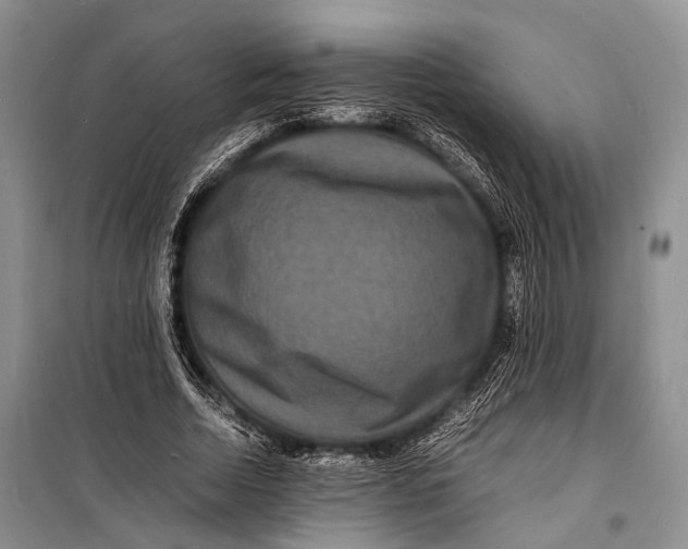 X0000098180730200805151140