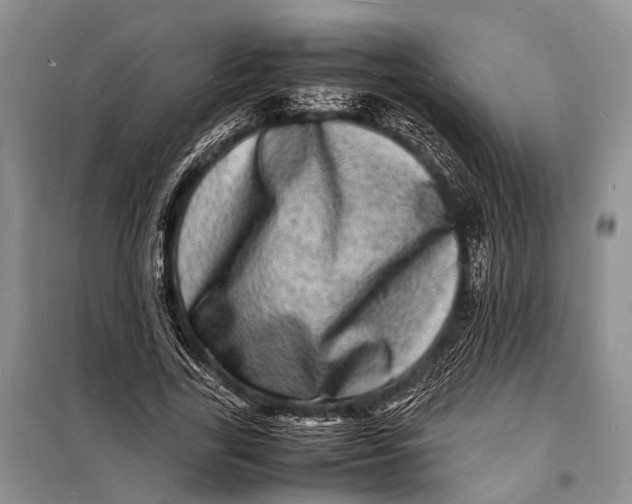 X0000098180731200805151140