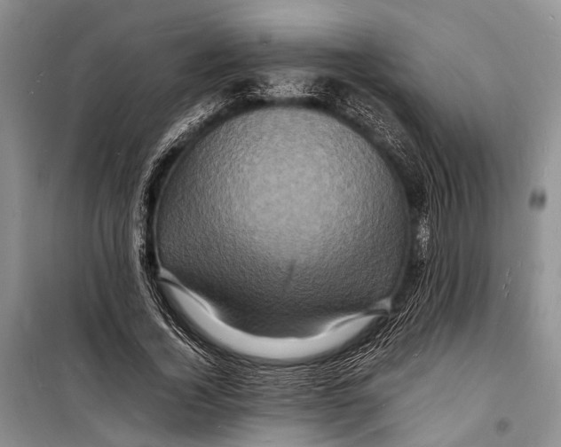 X0000098180732200805151140