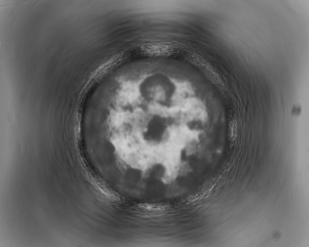 X0000098180733200805151140