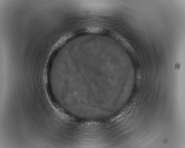 X0000098180734200805151140