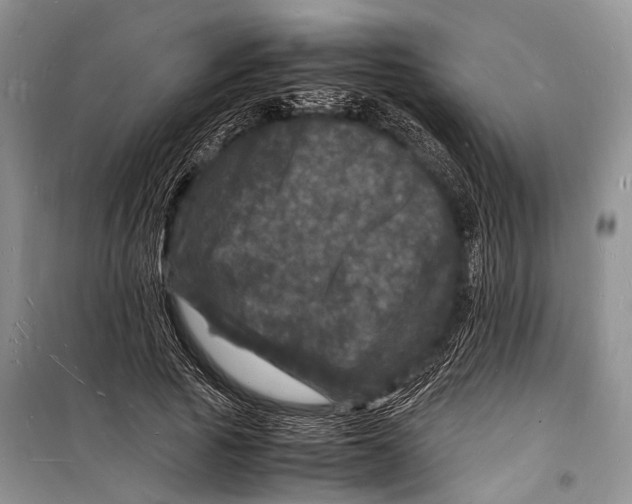 X0000098180737200805151140