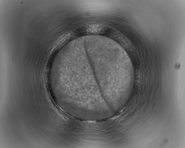 X0000098180738200805151140