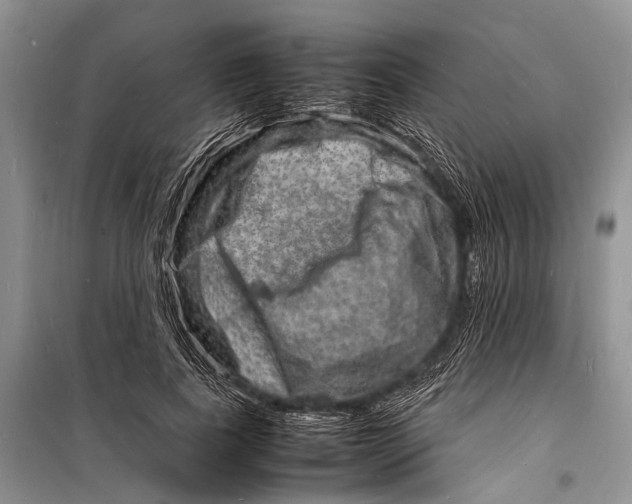 X0000098180739200805151140