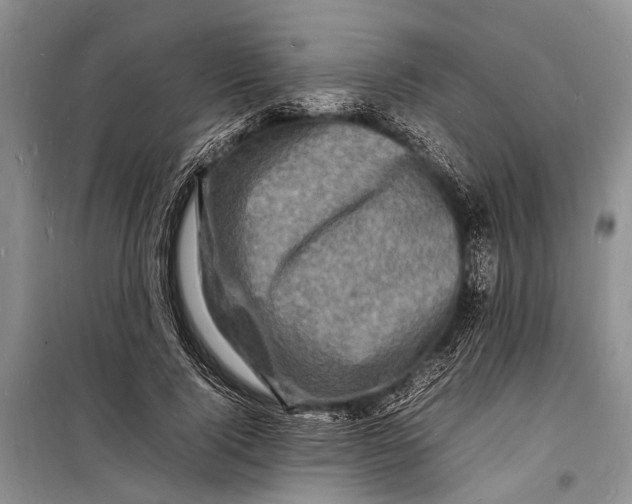 X0000098180740200805151140