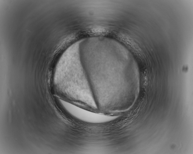 X0000098180742200805151140