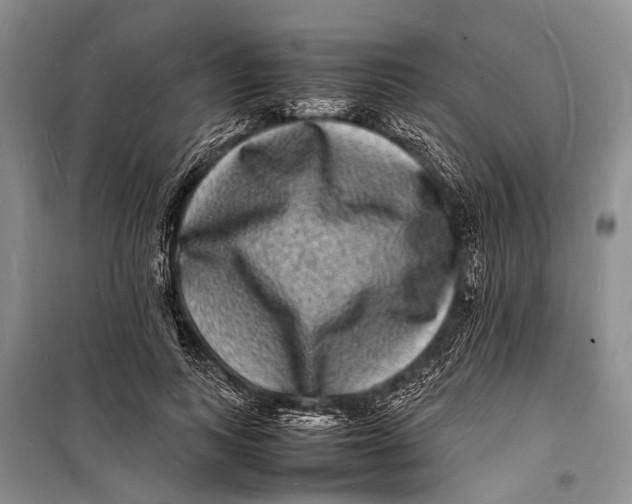 X0000098180743200805151140