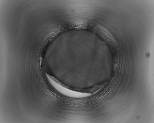 X0000098180748200805151140