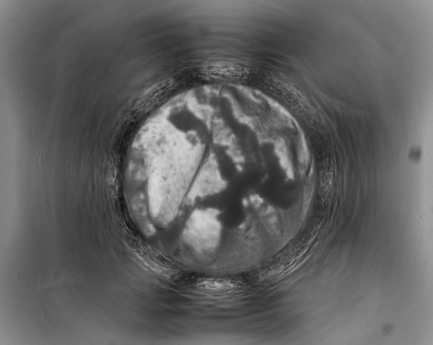 X0000098180749200805151140