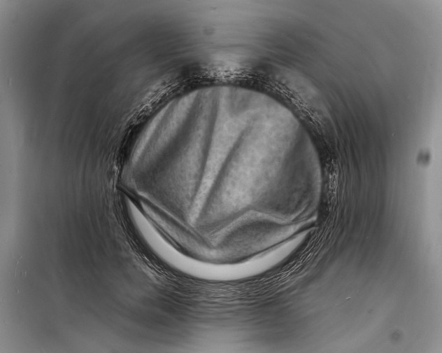 X0000098180750200805151140