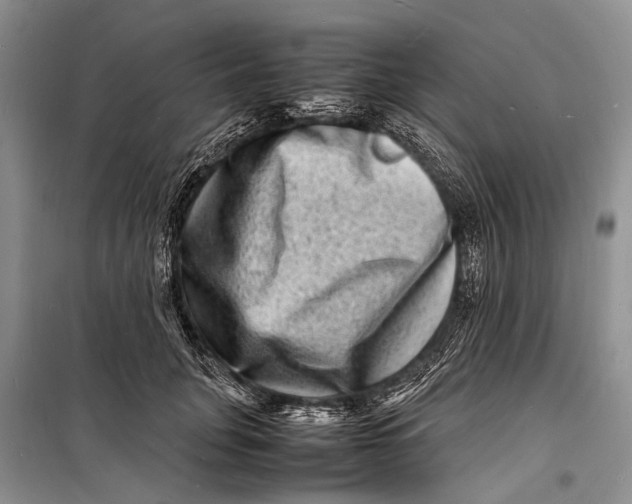 X0000098180751200805151140