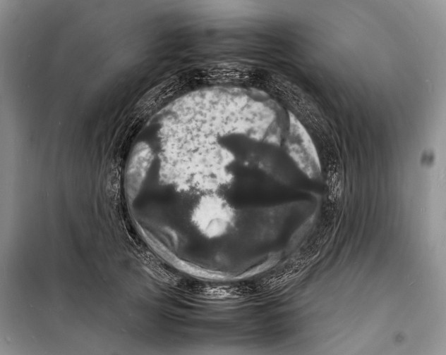 X0000098180753200805151140