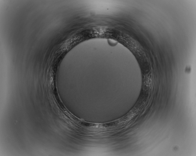 X0000098180754200805151140