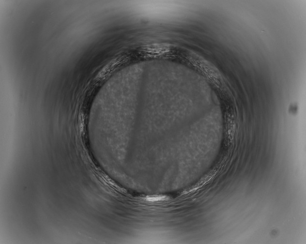 X0000098180758200805151140