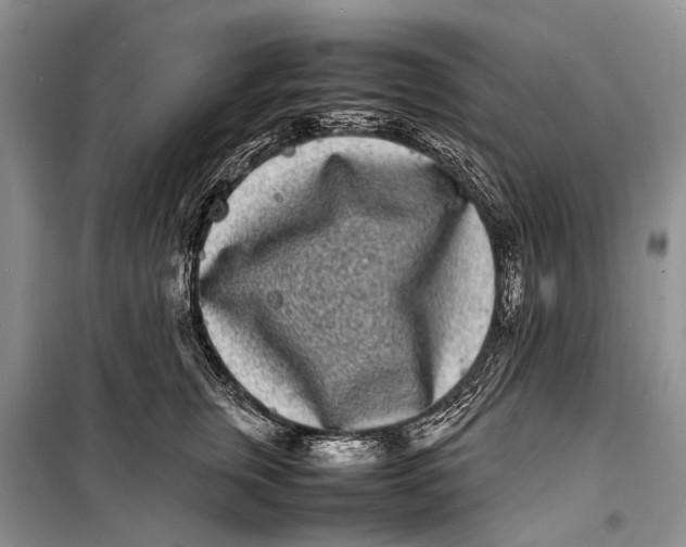 X0000098180759200805151140