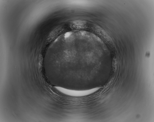 X0000098180760200805151140