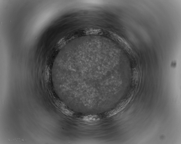 X0000098180761200805151140