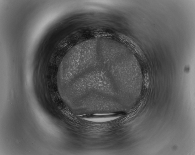 X0000098180763200805151140