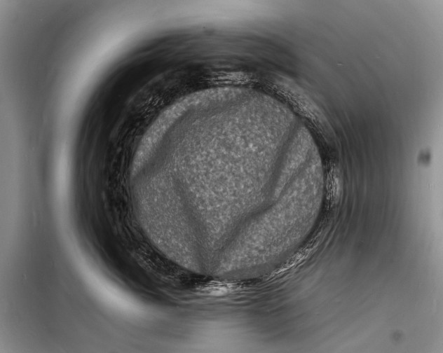 X0000098180764200805151140