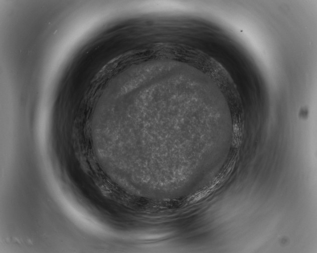 X0000098180765200805151140