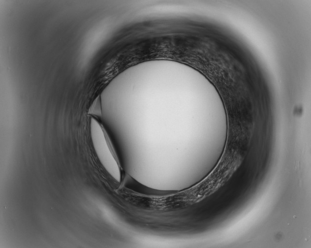 X0000098180766200805151140