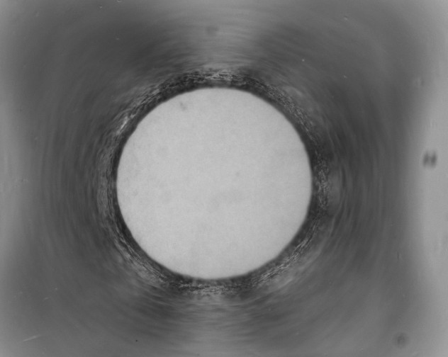 X0000098180769200805151139