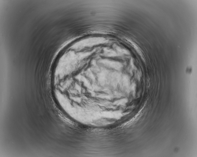 X0000098180779200805151139