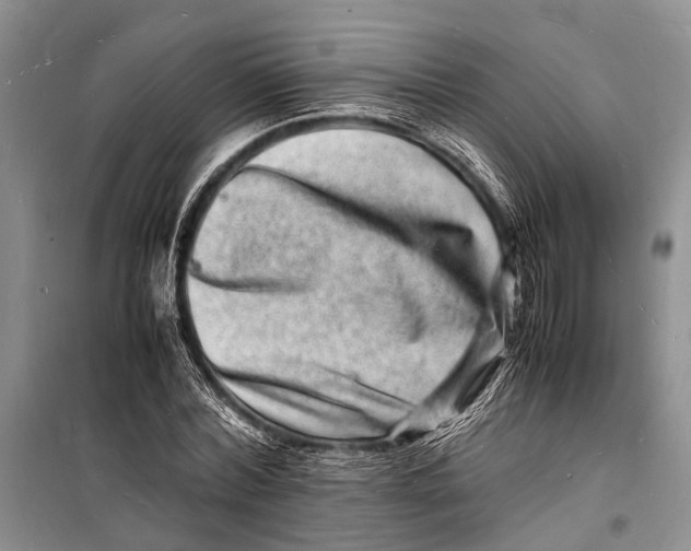 X0000098180780200805151139