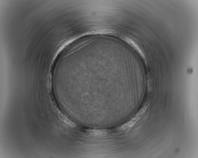 X0000098180781200805151139