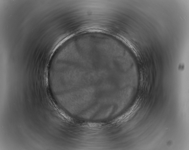 X0000098180782200805151139