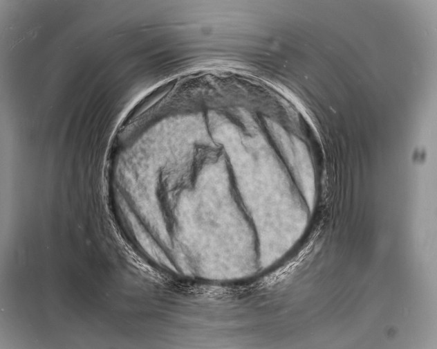 X0000098180783200805151139