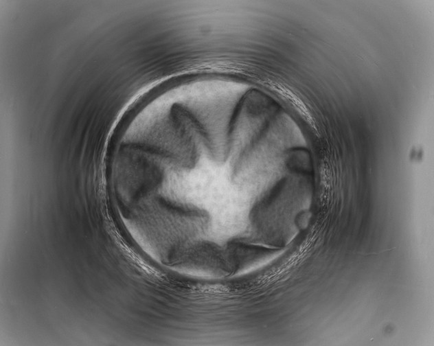 X0000098180784200805151139