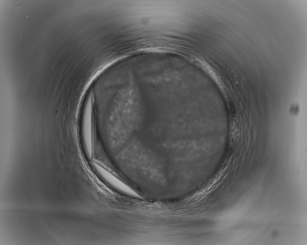 X0000098180787200805151139