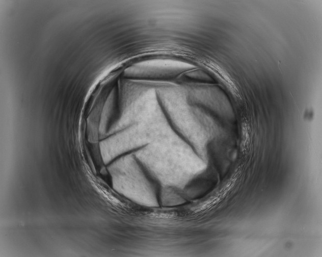 X0000098180788200805151139