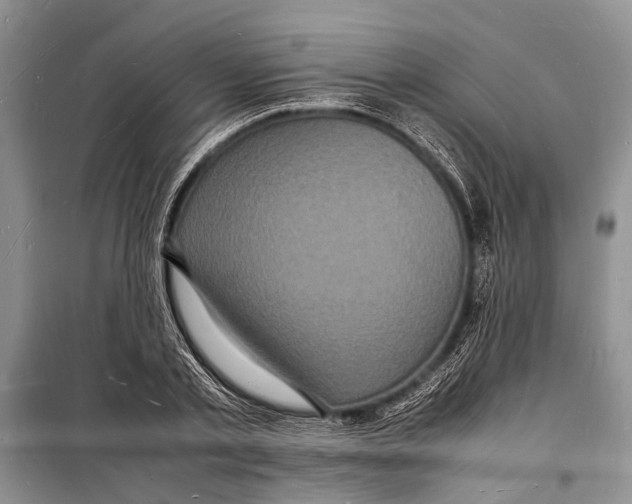 X0000098180789200805151139