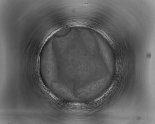 X0000098180790200805151139